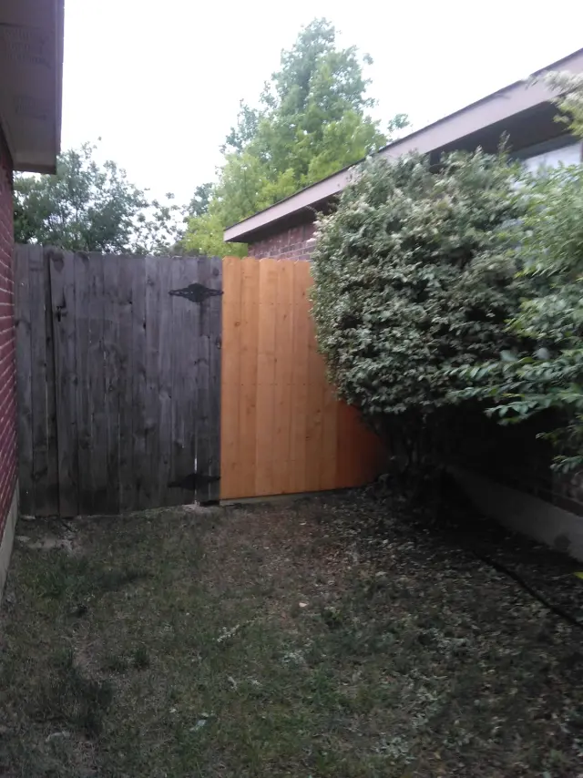 New cedar privacy fence along a side yard