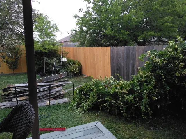 New cedar fence gate with black hardware between two houses